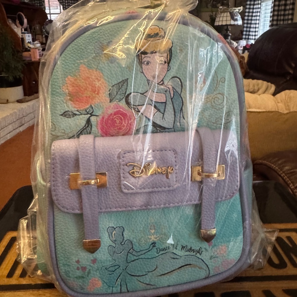 Disney Princess Wonda Backpack Girls Small Bag NWt